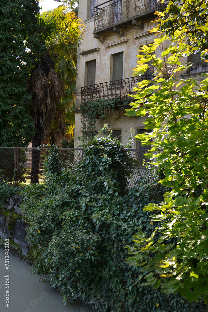 Fototapeta premium wall