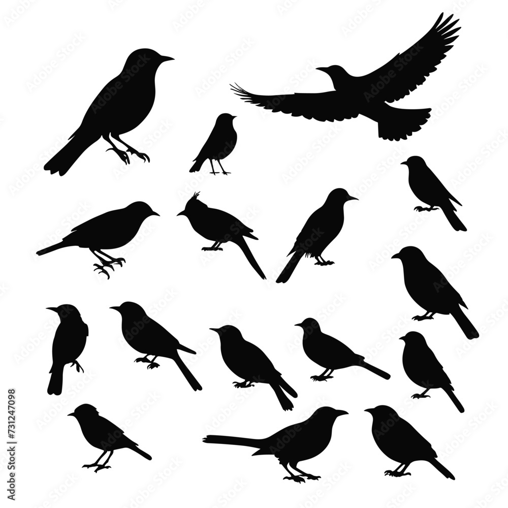 Obraz premium Bird silhouettes set silhouette of birds collection vector illustration