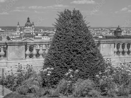 Photography Budapest an der Donau