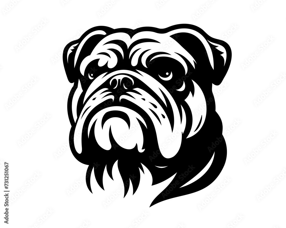 english bulldog vector illustration