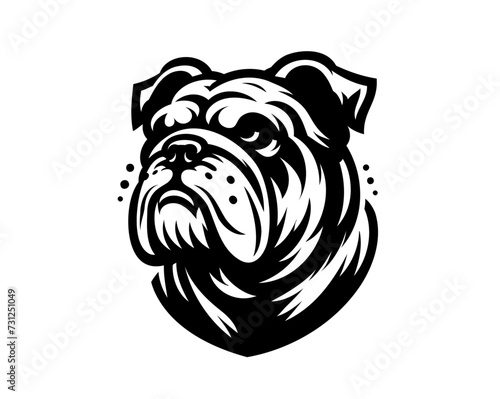 english bulldog vector illustration