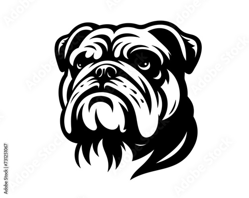 english bulldog vector illustration