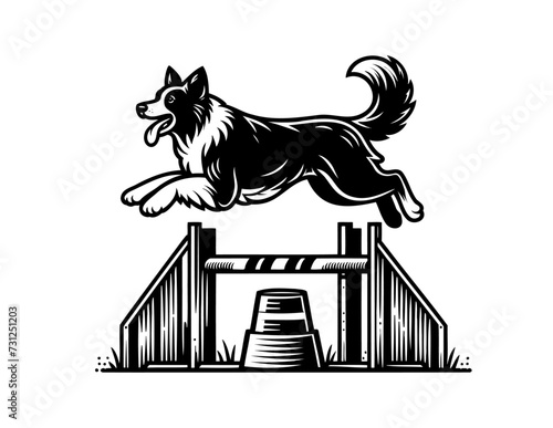 Agility training dog. Vector illustration