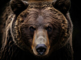 A majestic brown bear, close-up portrait, side view