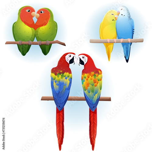 Vector set of cartoon colorful parrots in love