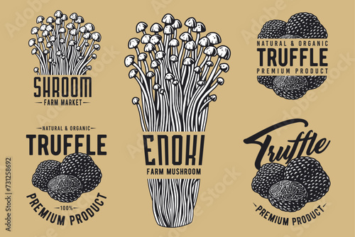 Mushroom truffle set with for organic, natural vegetarian food. Autumn forest collection with fungi, shroom mushroom picking for t-shirt print