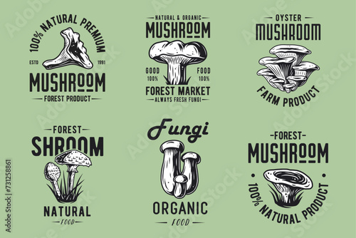 Set of forest mushroom for organic, natural vegetarian food. Collection of autumn fungi, shroom mushroom picking for t-shirt print