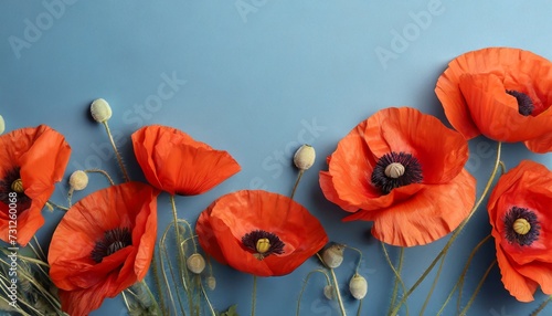 banner with red poppy flowers on blue background symbol for remembrance memorial anzac day © Kelsey