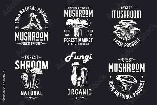 Set of forest mushroom for organic, natural vegetarian food. Collection of autumn fungi, shroom mushroom picking for t-shirt print
