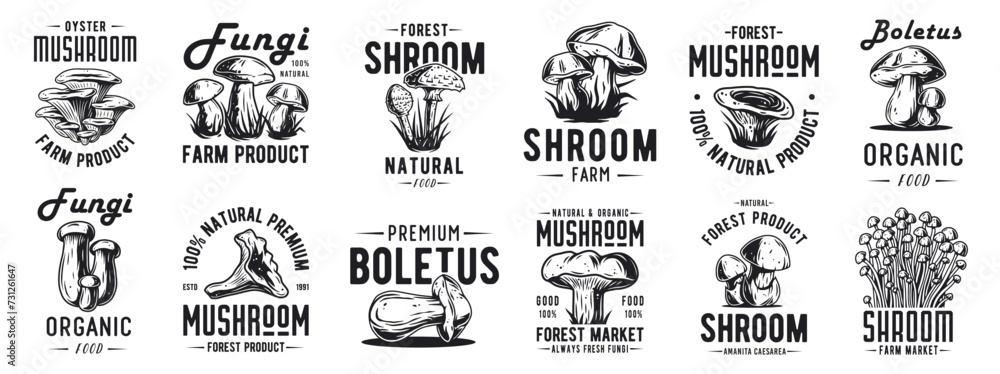 Fototapeta premium Forest mushroom boletus set of porcini, king bolete. Vegetarian fungus boletus for food. Nature fungi for healthy nutrition, mushroom picking