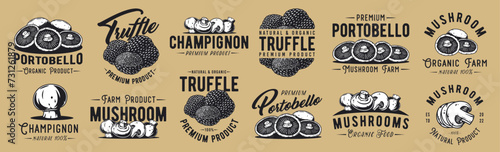 Mushroom truffle and portobello set with for organic, natural vegetarian food. Champignon collection. Fungi, shroom mushroom picking