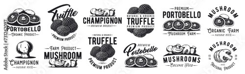 Mushroom truffle and portobello set with for organic, natural vegetarian food. Champignon collection. Fungi, shroom mushroom picking