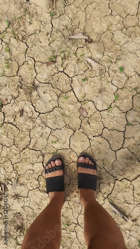 pés femininos pisando em terra rachada no sertão da bahia  photo