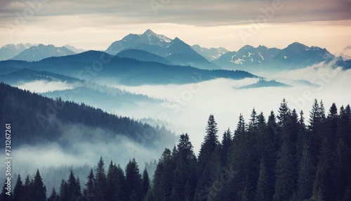 misty mountain landscape with fir forest in vintage retro style