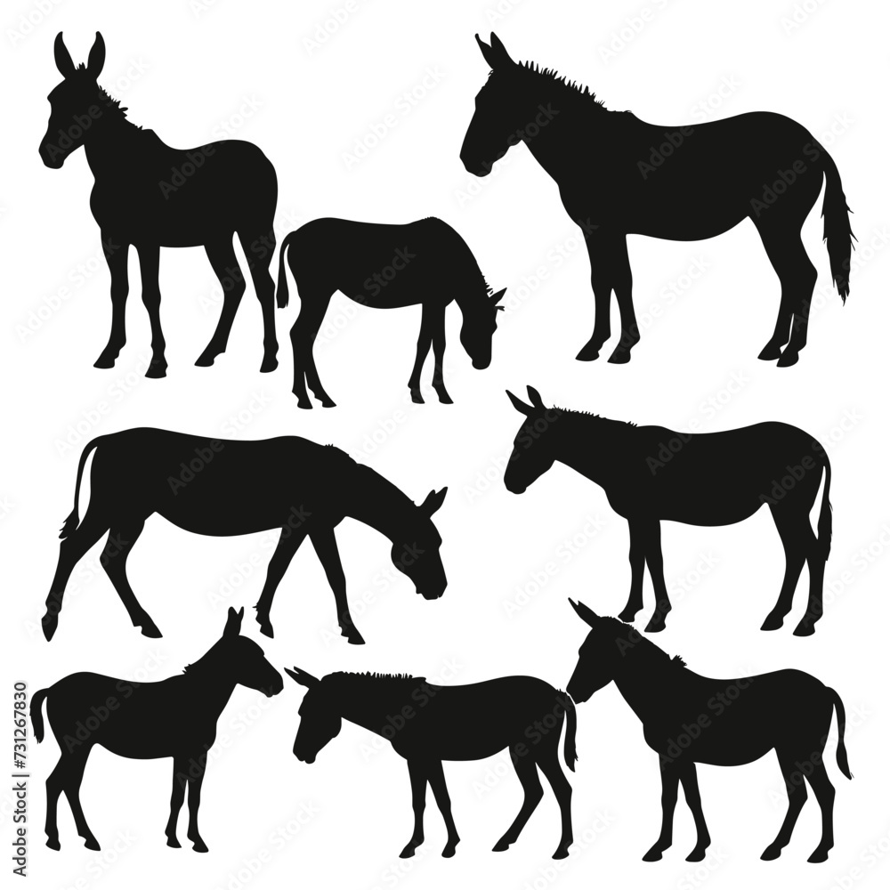 Silhouettes of multiple donkeys in various poses, showcasing their distinctive shapes against a white background. Silhouettes of multiple donkeys in various poses, showcasing their distinctive shapes against a white background.