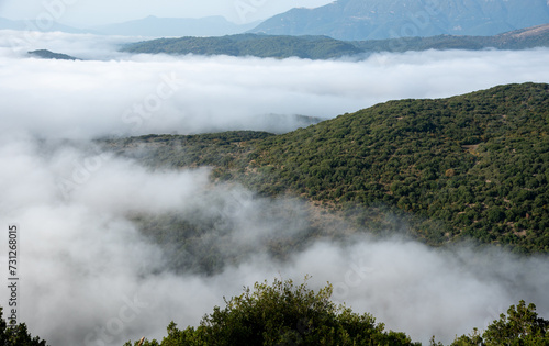Mountain tops covered in a layer of mist and fog at dawn. Nature landscape © Michalis Palis