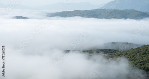 Mountain tops covered in a layer of mist and fog at dawn. Nature landscape