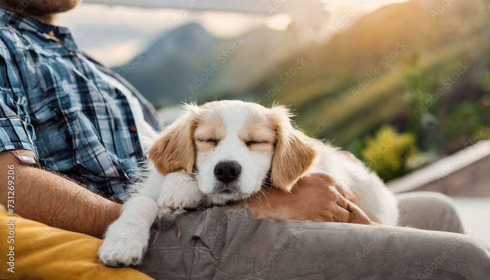 Obraz premium Cute white dog sleeping on owner lap in a sunny days with big mountains in the background
