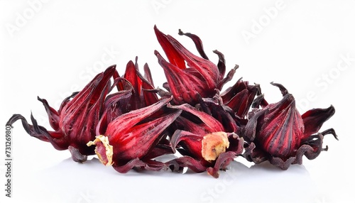 dried hibiscus sabdariffa or roselle fruits on white photo