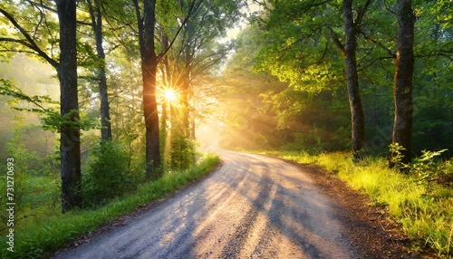 rural road through the forest at sunrise
