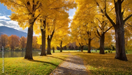 autumn gold trees in a park
