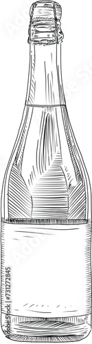 Hand drawn illustration of glass champagne wine cider bottle