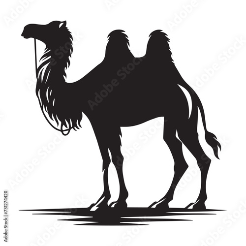 camel cartoon illustration, Camel silhouettes, icons for Aminals photo