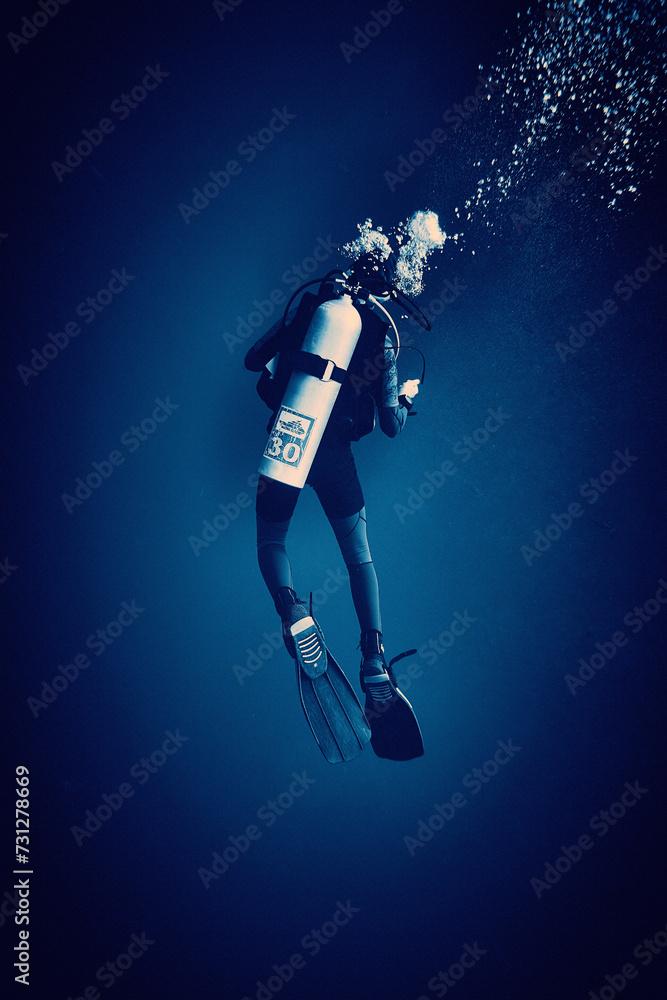 The beauty of the underwater world - diver at depth - scuba diving in the Red Sea, Egypt