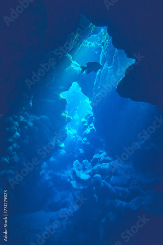 The beauty of the underwater world - beautiful space of underwater cave with rays of natural sunlight - scuba diving in the Red Sea, Egypt