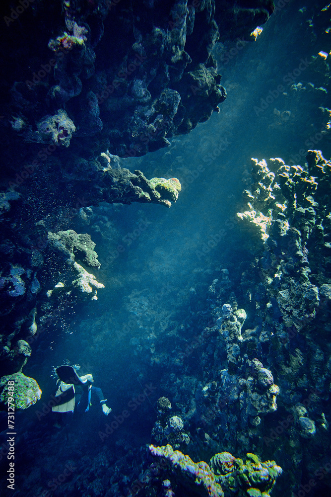 The beauty of the underwater world - beautiful space of underwater cave with rays of natural sunlight - scuba diving in the Red Sea, Egypt