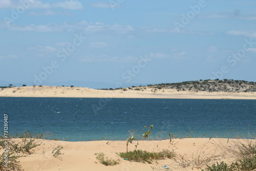 Dunas do Velho Chico  em casa Nova  Bahia    s margens do Rio S  o Francisco 