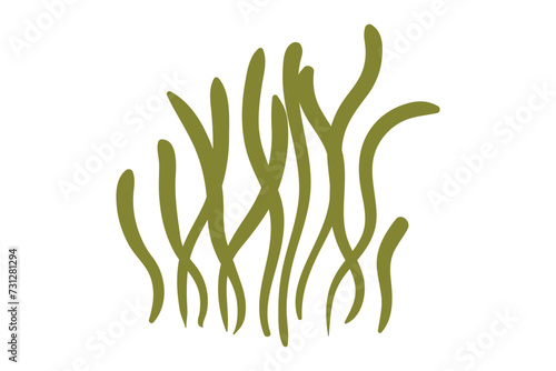 Coral, seaweed, coral, seaweed, sea life, ocean life, coral, hawaii, coral reef, ocean, coral cut file, ocean animals, coral clipart, corals, kelp, under the sea plants, sea life, ocean life, sea weed