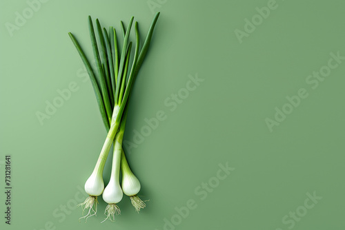 Green onion. Green background  top view. Space for text.