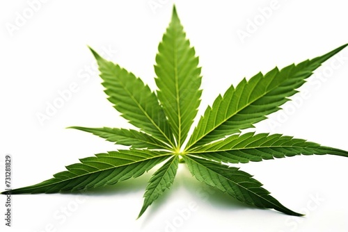 Transparent cannabis leaf image. Generative AI