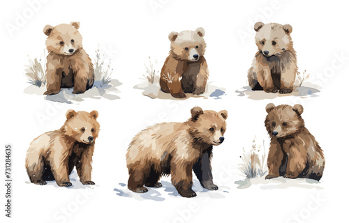 watercolor bear clipart for graphic resources