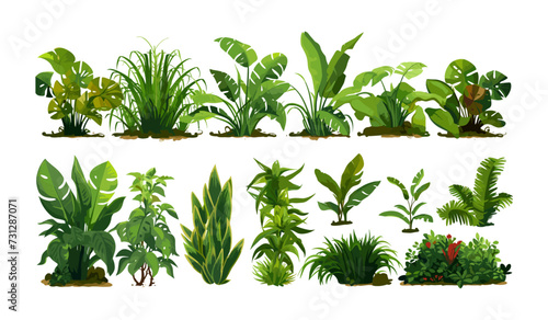 jungle vegetation set isolated vector style with transparent background illustration