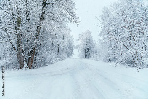 Winter landscape with snow-covered trees and a road © mariyakuprevich