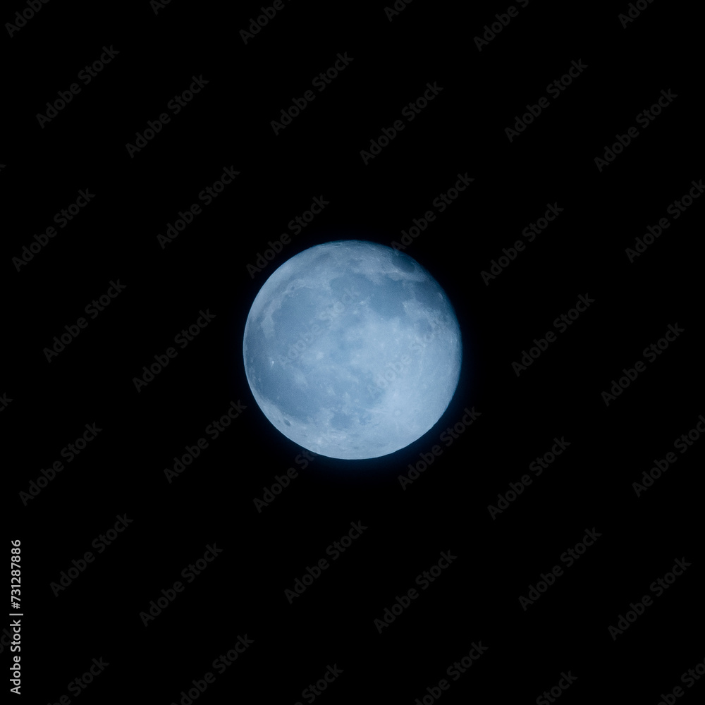 moon moon