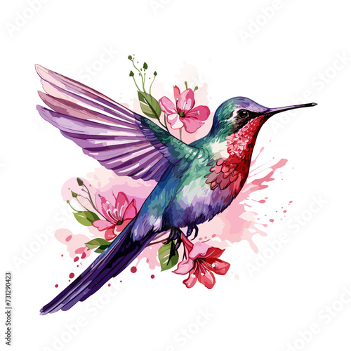 watercolor Hummingbird clipart for graphic resources