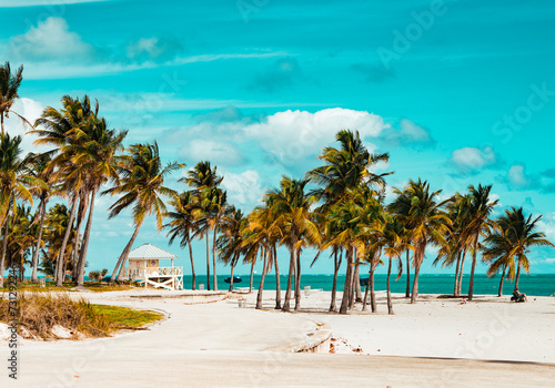 Fototapeta Naklejka Na Ścianę i Meble -  palm trees on the beach key Biscayne Florida 