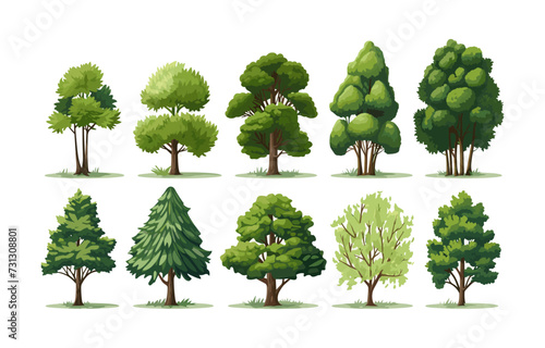 forest trees set isolated vector style with transparent background illustration