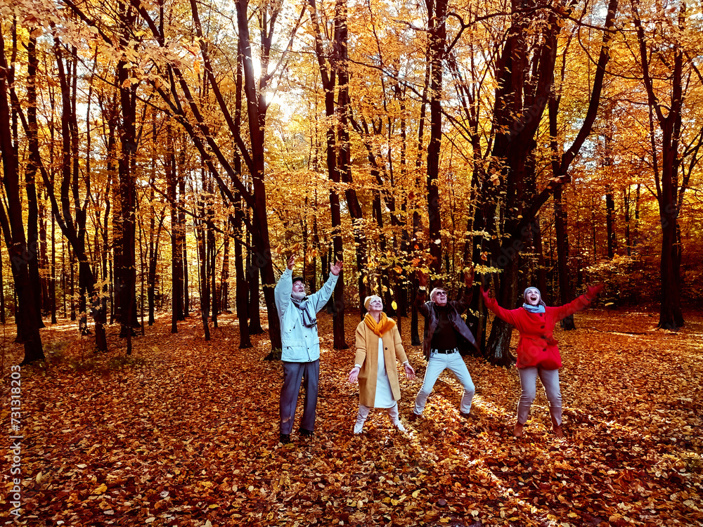 Fototapeta premium Group of senior friends having fun at the golden autumn park.