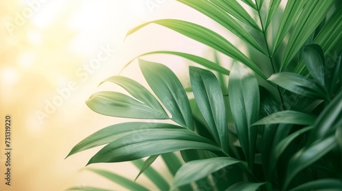 Sparse tropical leaves against clean backgrounds, evoking a sense of calmness and tranquility
