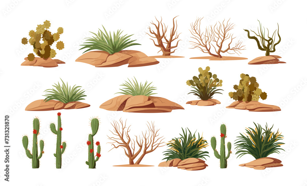 desert vegetation set isolated vector style with transparent background illustration