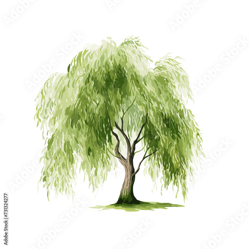 watercolor willow tree clipart for graphic resources