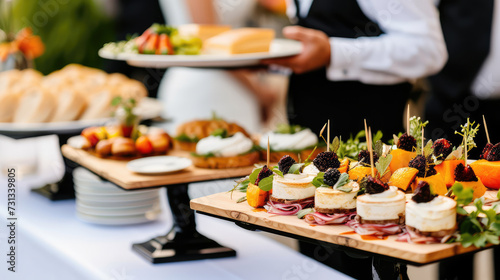 Luxury snacks displayed at a buffet at an outdoor event  organization. Concept of fine dining