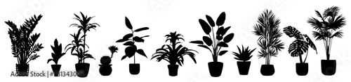 Silhouettes of different House Plants in pot set. Collection of indoor potted decorative houseplants for interior home, office decoration. Monochrome vector illustrations on transparent background.
