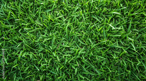 A mesmerizing and vivid green grass texture that captivates the eye with its lushness and intricate details, perfectly mimicking a vibrant and natural ground cover. The repeating pattern add