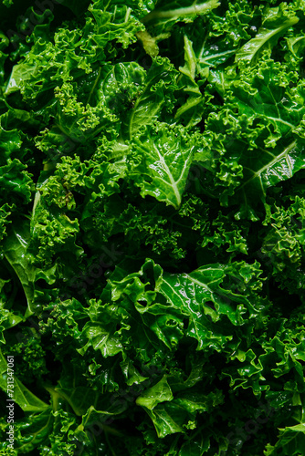 Fresh ripe Kale Close Up photo