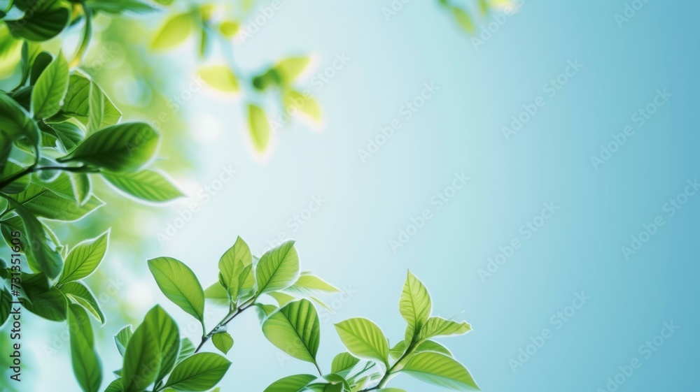 Spring background, green tree leaves on blurred background Spring background, green tree leaves on blurred background